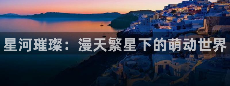 五一动漫.：星河璀璨：漫天繁星下的萌动世界